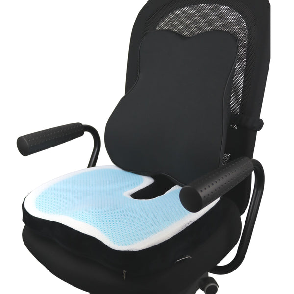 Pro Back™ Lendensteun